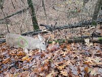 20251122_100311.jpg 20251122_100311.jpg