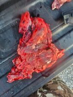 20251122_161826.jpg 20251122_161826.jpg