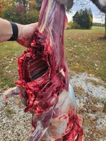 20251101_132414.jpg 20251101_132414.jpg