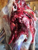 20241108_111436.jpg 20241108_111436.jpg