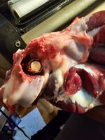 20241108_133031.jpg 20241108_133031.jpg