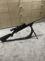 IMG_4932.jpeg IMG_4932.jpeg