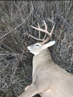 IMG_1682.jpeg IMG_1682.jpeg