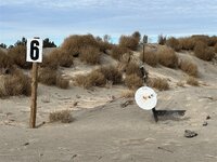 IMG_1723 (Small).JPG