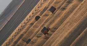 Idiots.jpg Idiots.jpg