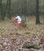 1764786848465.png 1764786848465.png