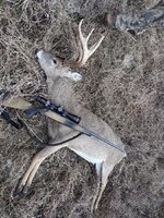 IMG_3934.JPG IMG_3934.JPG