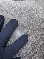 IMG_3937.JPG IMG_3937.JPG