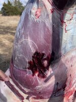 IMG_3944.JPG IMG_3944.JPG