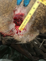 1764813729174.png 1764813729174.png