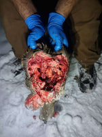 1764813786198.png 1764813786198.png