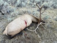 IMG_4338.jpeg IMG_4338.jpeg