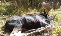 20191004_114031-EDIT.jpg 20191004_114031-EDIT.jpg