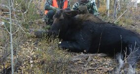 20191005_134933_resized-EDIT.jpg 20191005_134933_resized-EDIT.jpg