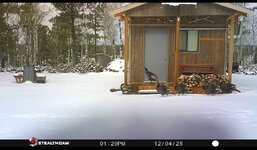 IMG_7516.jpeg IMG_7516.jpeg