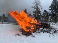 IMG_7557.jpeg IMG_7557.jpeg