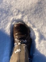 IMG_7305.jpeg IMG_7305.jpeg