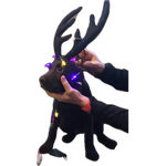 1764999642362.png 1764999642362.png