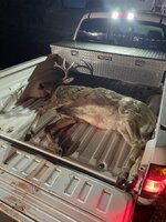 IMG_0495.jpeg IMG_0495.jpeg