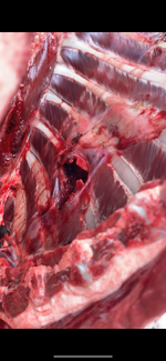 IMG_0501.png IMG_0501.png