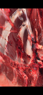 IMG_0502.png IMG_0502.png