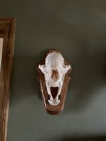 IMG_4555.jpeg IMG_4555.jpeg