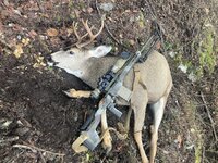 Photo 2025-11-30, 10 47 25 AM.jpg