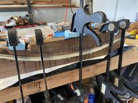 IMG_8531.jpeg IMG_8531.jpeg