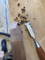 IMG_8623.jpeg IMG_8623.jpeg