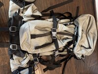 IMG_2790.jpeg IMG_2790.jpeg