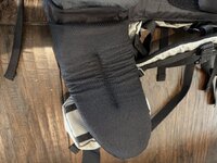 IMG_2794.jpeg IMG_2794.jpeg