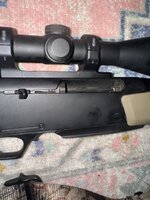 IMG_6224.jpeg IMG_6224.jpeg