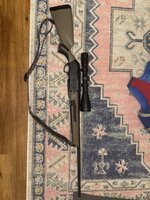 IMG_6223.jpeg IMG_6223.jpeg