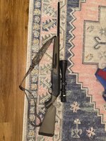 IMG_6222.jpeg IMG_6222.jpeg