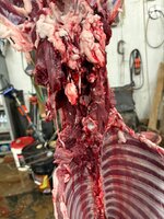 IMG_3364.jpeg IMG_3364.jpeg