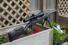 DSC_0384.jpeg DSC_0384.jpeg