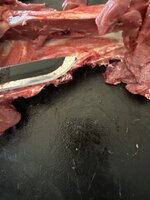 IMG_0591.jpeg IMG_0591.jpeg