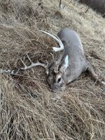 IMG_0080.jpeg IMG_0080.jpeg