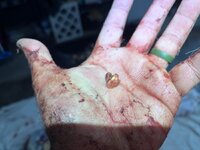 IMG_2928.jpeg IMG_2928.jpeg