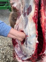 IMG_4718.jpeg IMG_4718.jpeg