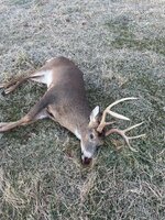 IMG_4649.jpeg IMG_4649.jpeg