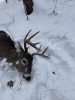 IMG_0348.jpeg IMG_0348.jpeg