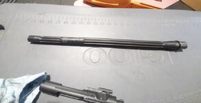 APC_0346.jpeg APC_0346.jpeg