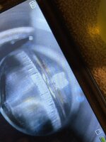 IMG_4774.jpeg IMG_4774.jpeg