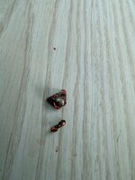 IMG_0773.jpg IMG_0773.jpg