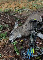 IMG_7610.jpeg IMG_7610.jpeg