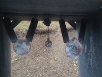 IMG_20241103_164302854_HDR.jpg IMG_20241103_164302854_HDR.jpg