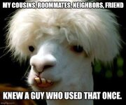 1000001034.jpg 1000001034.jpg