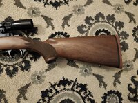 1000010494.jpg 1000010494.jpg