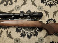 1000010495.jpg 1000010495.jpg